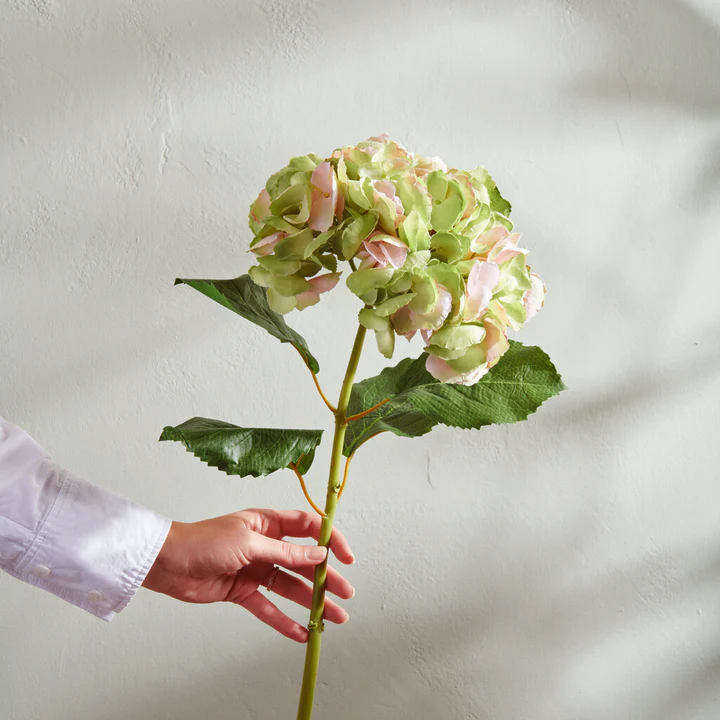 The flower shop