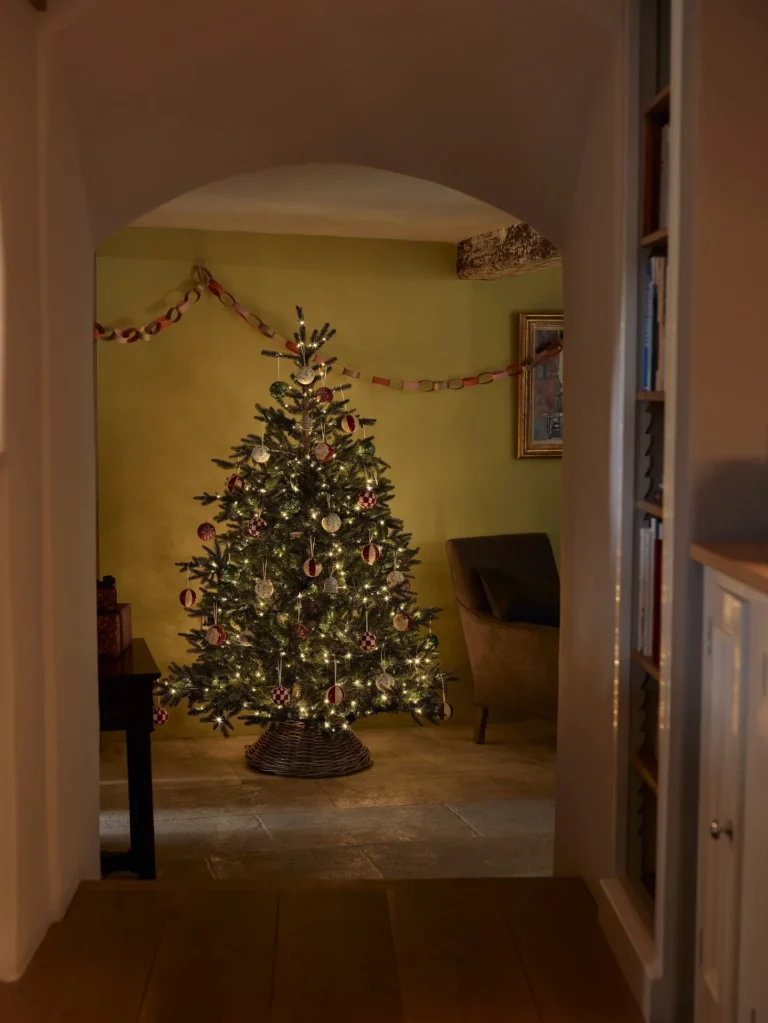 How to choose the perfect Christmas tree